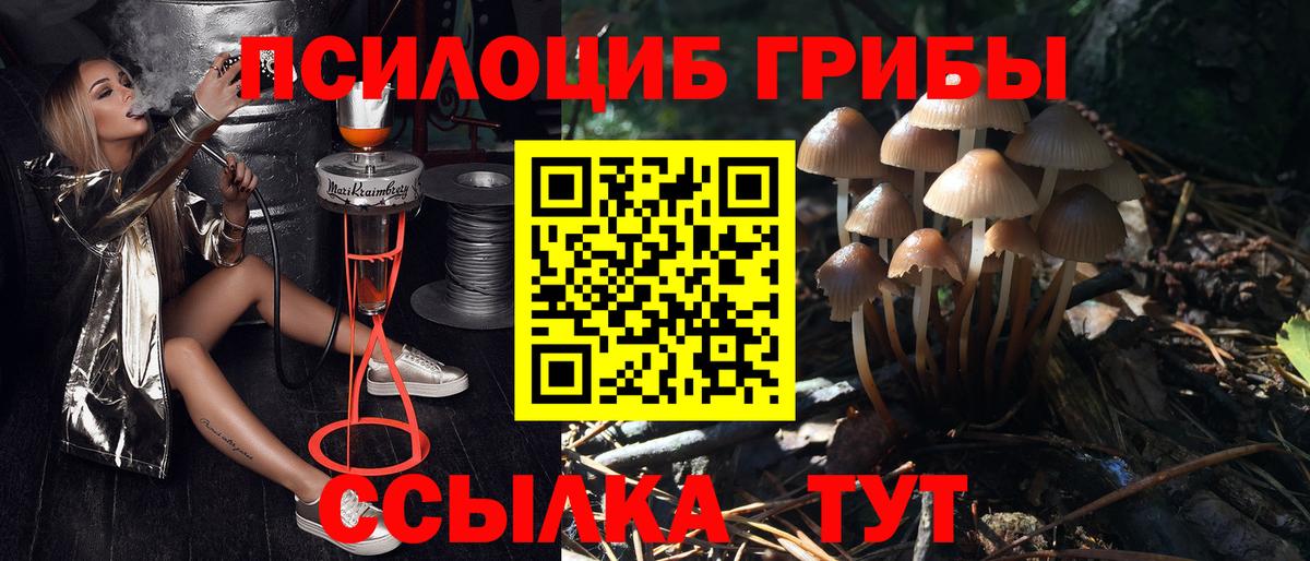 Псилоцибиновые грибы Cubensis Ртищево